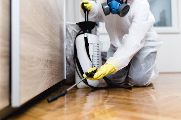 Best Cockroach Control Services  in Troy, OH