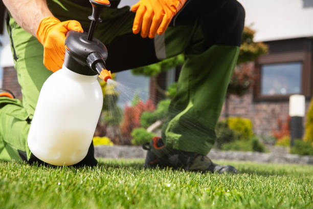 Best Best Pest Control Companies  in Troy, OH