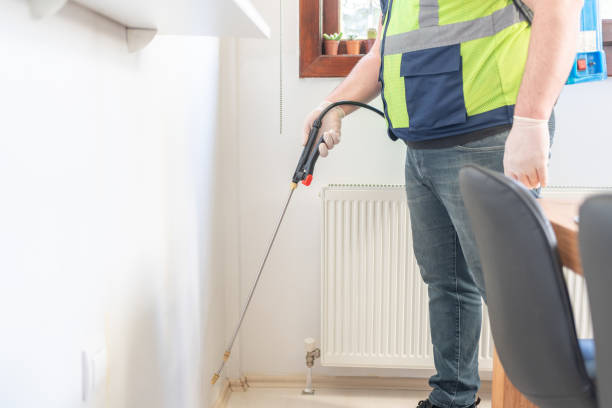 Best Wasp Removal Services  in Troy, OH
