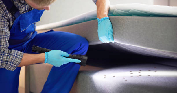 Best Rat Extermination Near Me  in Troy, OH