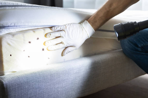 Best Best Pest Control Companies  in Troy, OH
