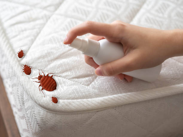Best Commercial Pest Control Services  in Troy, OH