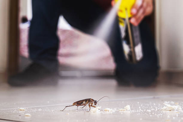 Best Local Pest Control Services  in Troy, OH